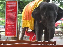 Thailand06-036